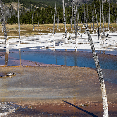 Opalescent Pool