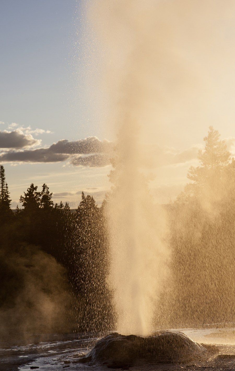 Pink Cene Geyser