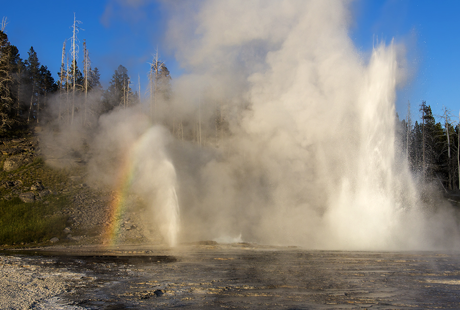 Grand Geyser erupting in Yellowstone's Upper Geyser Basin