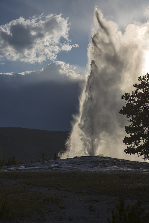 Old Faithful eruption on a July mid evening night.