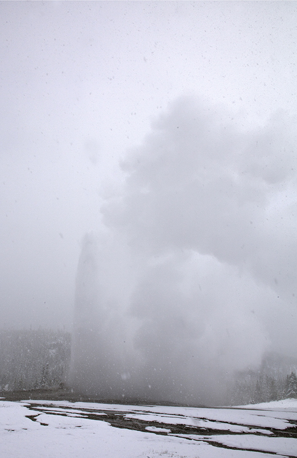 Old Faithful obsured by snowstorm.
