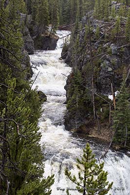 Firehole River flowing over Kepler Cascades