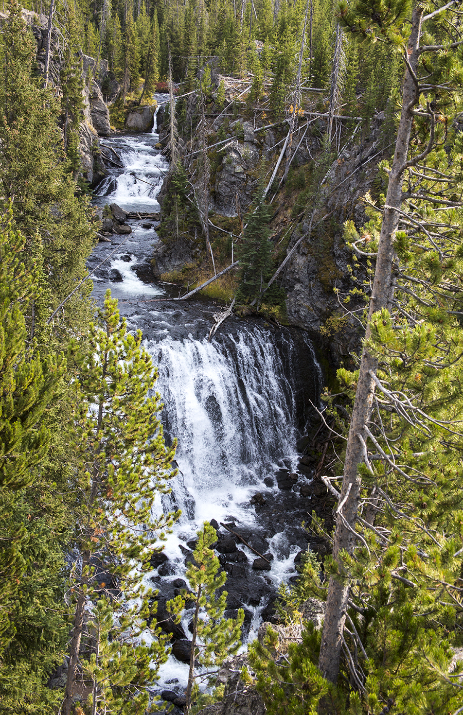 Keplar Cascades