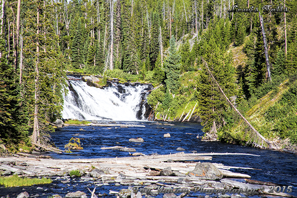 Lewis Falls