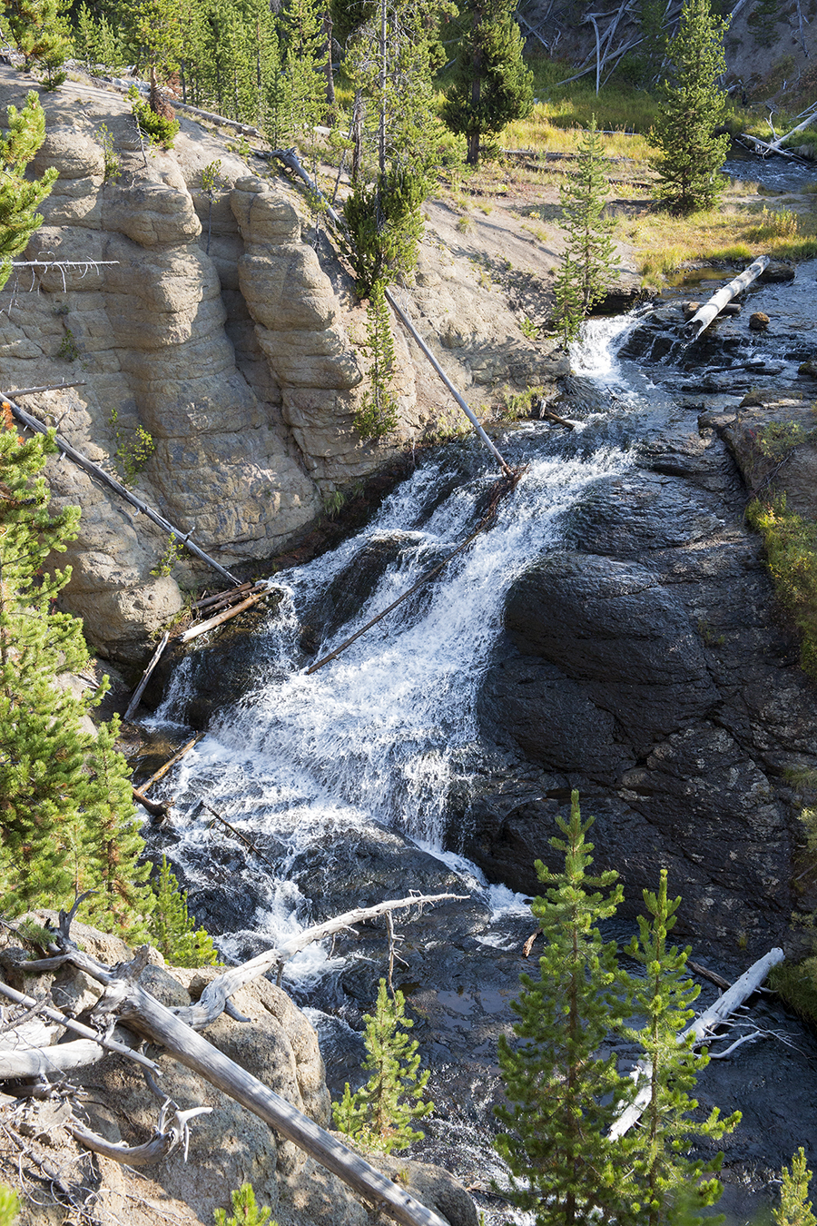 Little Gibbons Fall