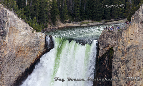 Top of Lower Falls