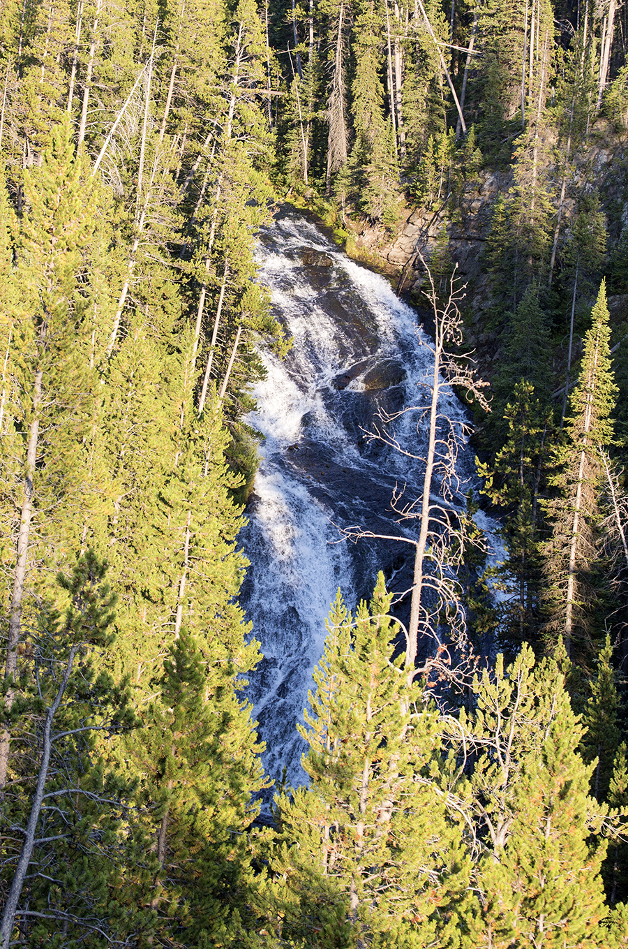 Virginia Cascades