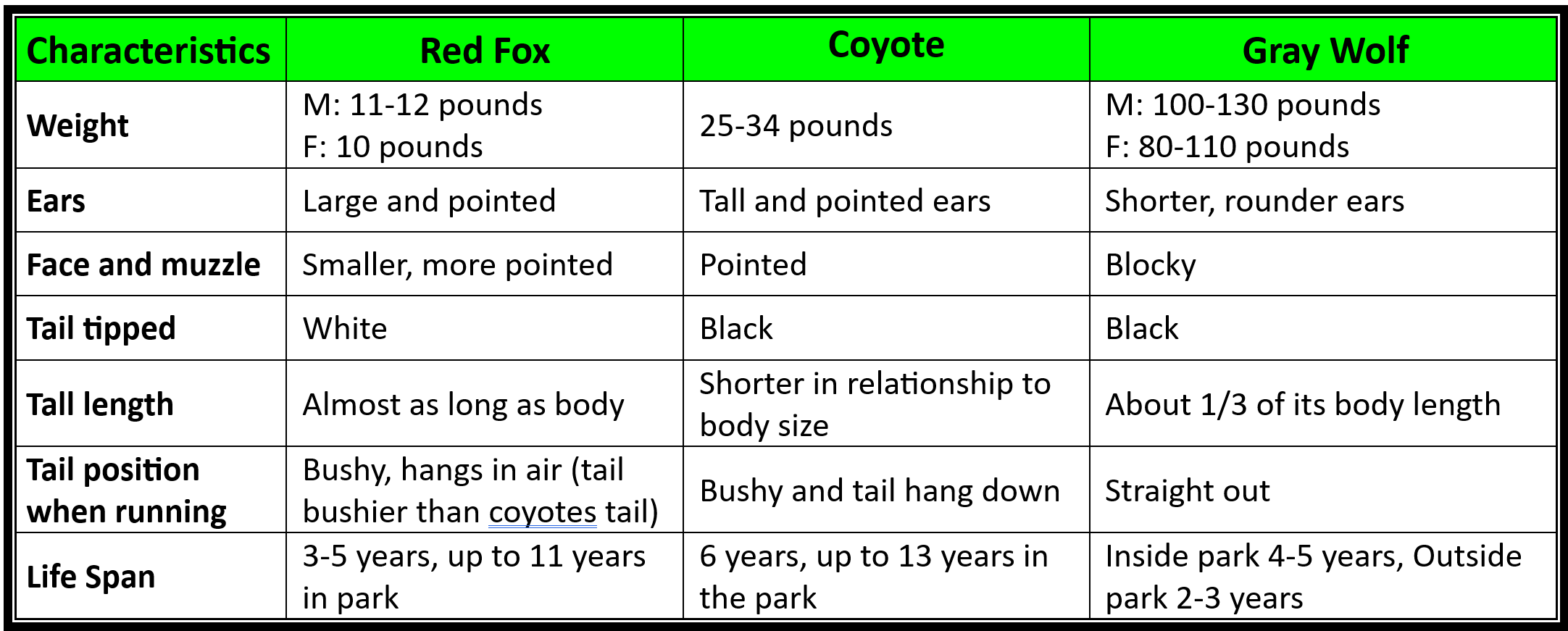 Comparison Chart of the Wolf, Coyote, and Fox