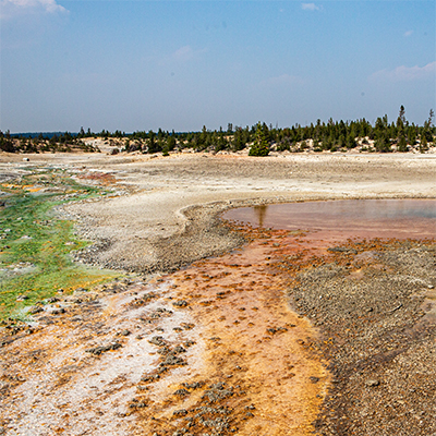 Whirligig Geyser in Norris Geyser Basin