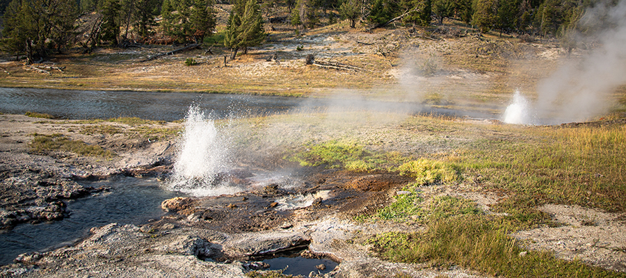 Artesia and Young Hopeful Geysers