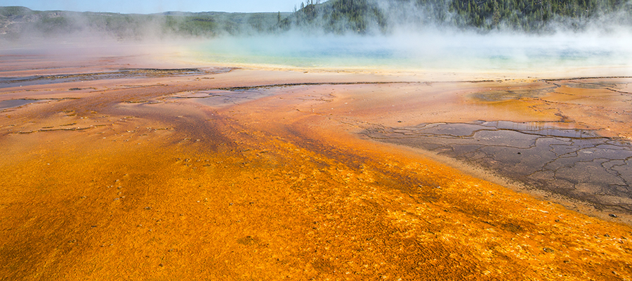 Runoff coming out of Grand Prismatic Spring