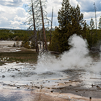 Minute Geyser in Norris Geyser Basin.
