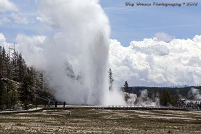 Grand Geyser erupting from north of the geyser.