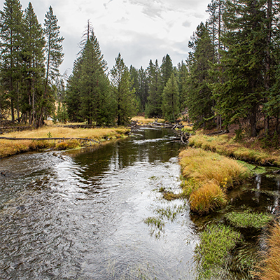 Old Faithful Bridge - click image to see 360 degree image