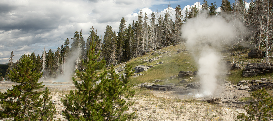 Rift Geyser erupting
