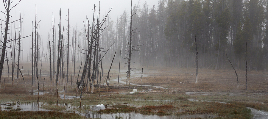 Fog rising off water