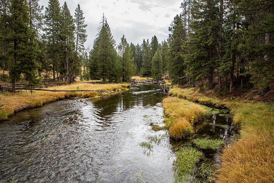 Firehold River by the Old Faithful bridge.